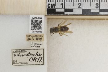 Media type: image;   Entomology 773042 Aspect: Labels